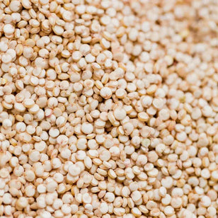 Quinoa Seed Extract